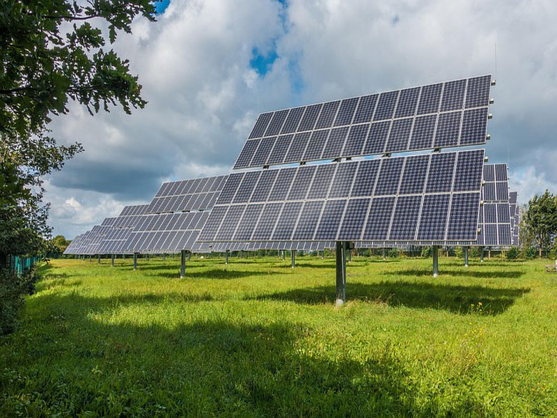 Solar panels in field