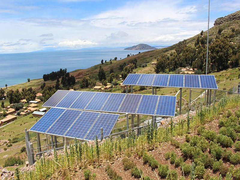 Solar panels in farm